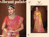 Rajnandani By Zarkaashi Banarasi Tissue Saree Wholesale Clothing Distributors In India